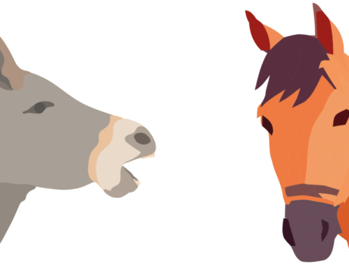 Corso online / Percorso formativo per operatori ungulati: equini (D.M. 6 settembre 2023)