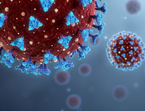 Corso ECM webinar / Alla scoperta dei Mammalian Orthoreovirus: un approccio One Health