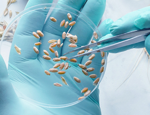 Corso residenziale ECM / OGM: regolamenti, campionamenti, analisi, peculiarità e criticità