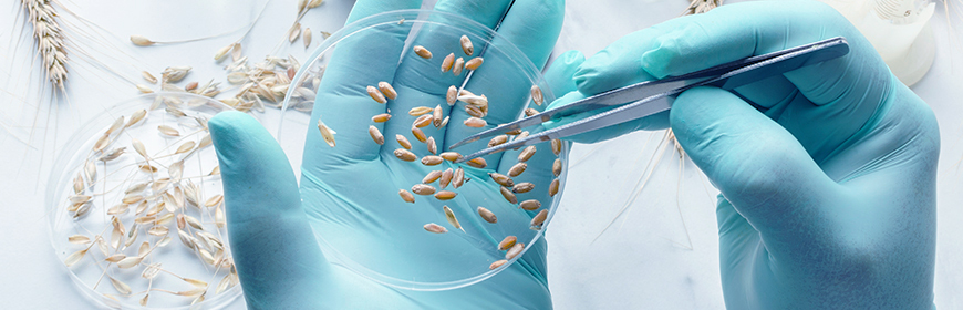 Corso residenziale ECM / OGM: regolamenti, campionamenti, analisi, peculiarità e criticità