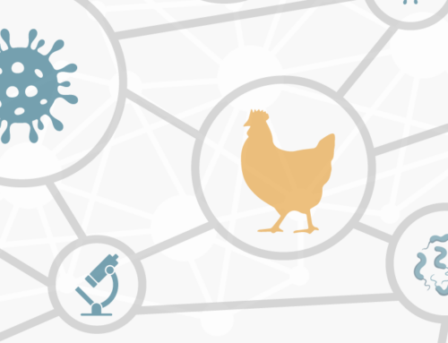 Convegno “I nuovi Percorsi Diagnostici Appropriati visualizzati e misurati nel Sistema ClassyFarm”. Roma, 19 dicembre 2025