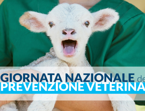 Giornata Nazionale della Prevenzione Veterinaria