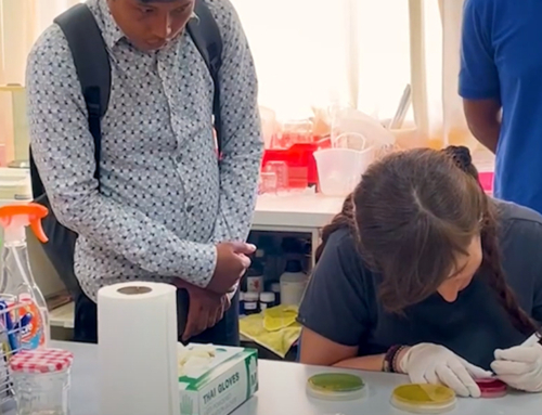 Ricerca e cooperazione internazionale in IZSVe [Video]