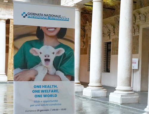 Prevenzione veterinaria e One Health come chiave della salute globale [Gallery]