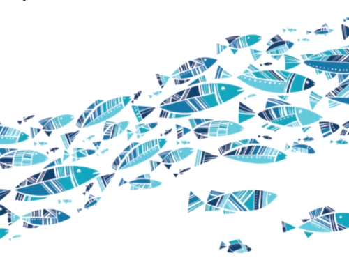 Progetto formativo IZSVe-API sulle buone prassi igienico-sanitarie in acquacoltura