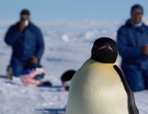 Pubblicata la relazione tecnica 2024 dell’IZSVe