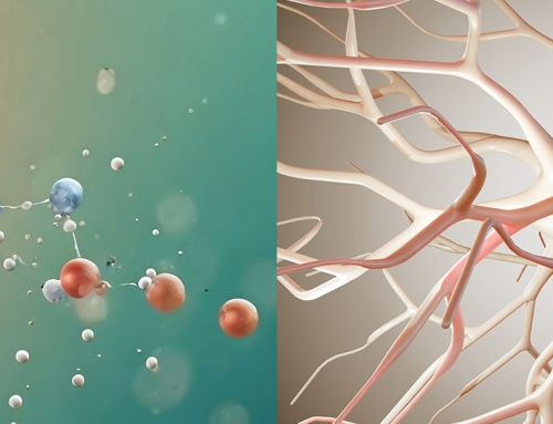 Studio sperimentale mostra i possibili effetti dei PFAS a catena corta sul neurosviluppo