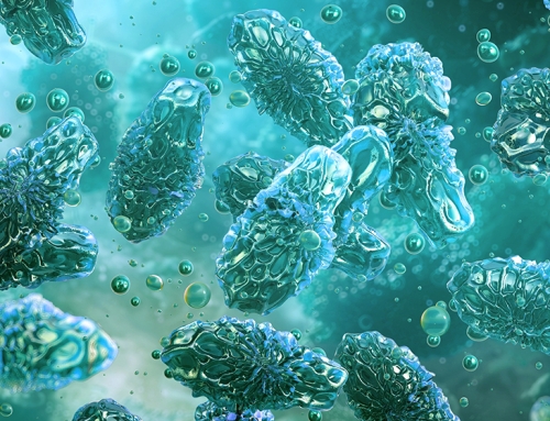 Tossina botulinica: dimostrato un nuovo ruolo nel favorire gravi infezioni intestinali