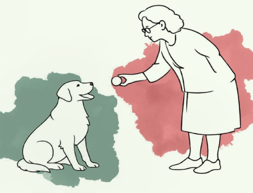 Webinar “Interventi assistiti con il cane rivolti all’anziano: modelli operativi e indicazioni applicative”. 14 aprile 2026, ore 18:30