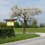 Azienda agricola Al Confin