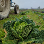 Azienda agricola Al Confin