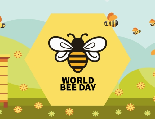 Giornata mondiale delle api – World Bee Day 2026