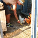 Fattoria sociale Gardafarm