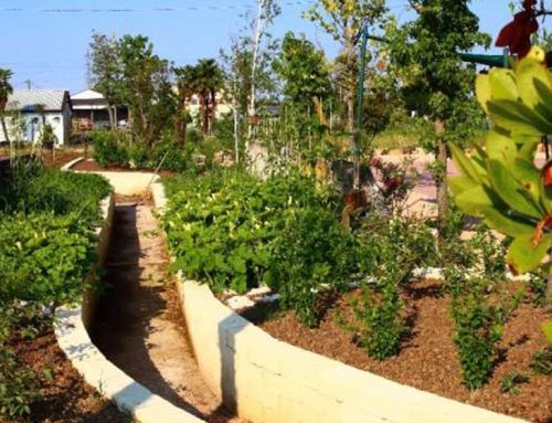 Progetto RASO, open day della fattoria sociale “Gardafarm”. Martedì 13 ottobre 2026 a Villafranca di Verona