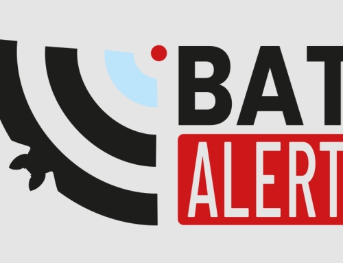 BAT-Alert, un sistema per segnalare eventi anomali riguardanti i pipistrelli
