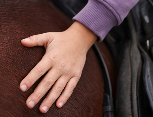 IAA, possibilità di contributi dalla Regione del Veneto per progetti terapeutici e riabilitativi con il cavallo
