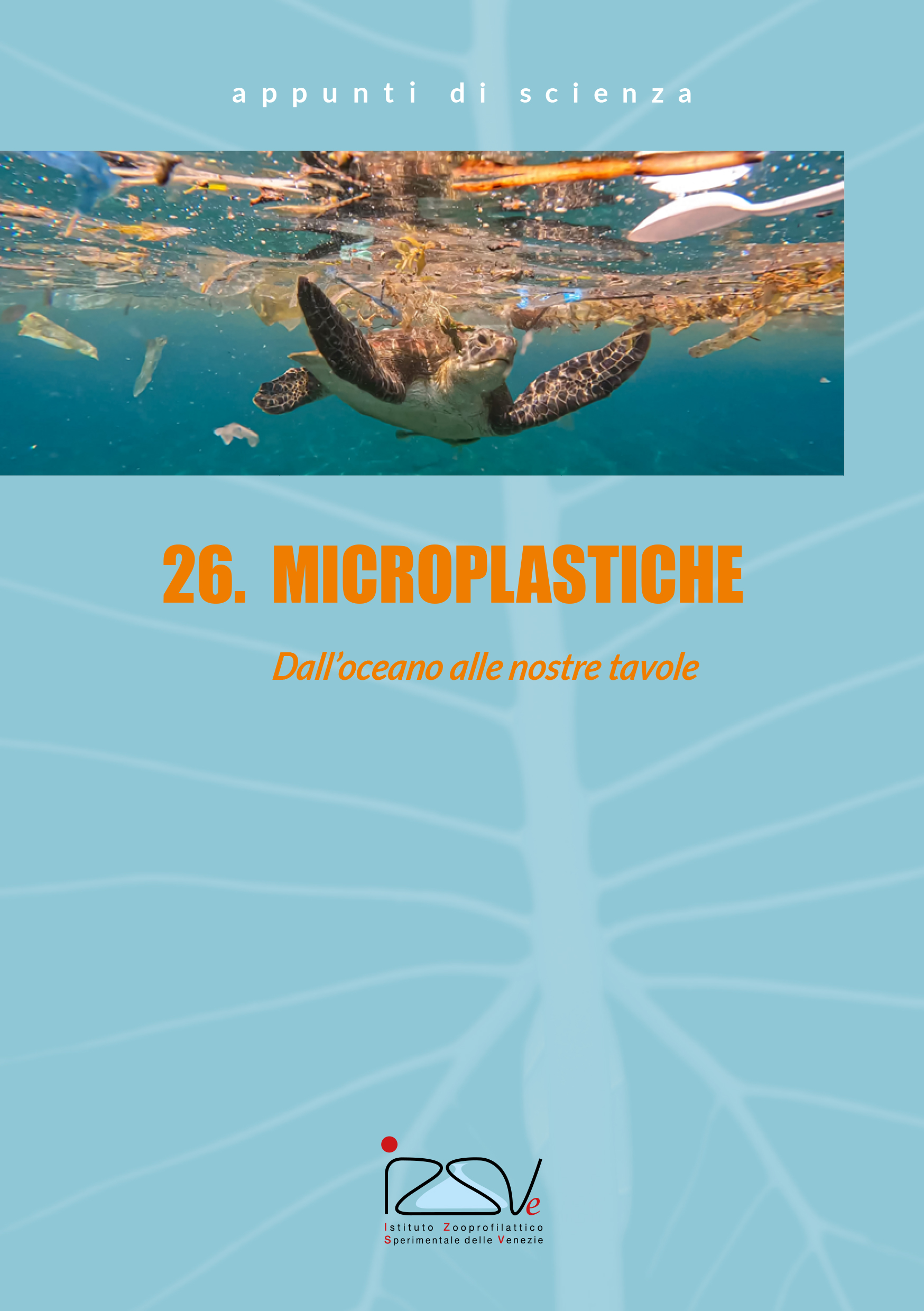 Appunti di scienza: microplastiche [Copertina]
