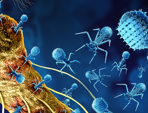 Progetto INSPIRE conquista il secondo posto al bando Ricerca Finalizzata 2024 del Ministero della Salute